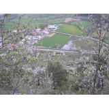 photo miniature